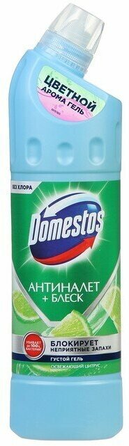 Чистящее средство Domestos "Освежающий цитрус", универсальное, 750 мл 9613914