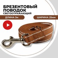 Поводок светоотражающий для средних и больших собак брезентовый с карабином, 3 м