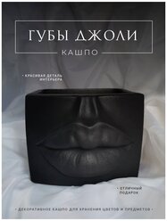 Декоративное гипсовое кашпо губы Джоли 1 шт ALFA-ART черные
