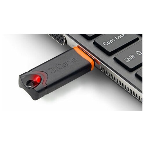 Электронный идентификатор ALADDIN USB-токен JaCarta PKI (XL) [jc200]