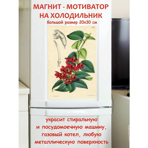 Лучший подарок, ботаника магнит гибкий на холодильник 20 на 30 см Арт Декоро