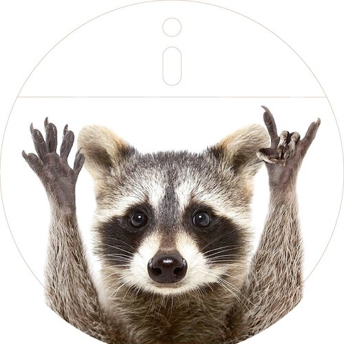 Робот пылесос наклейка защитно-декоративная 60000₽