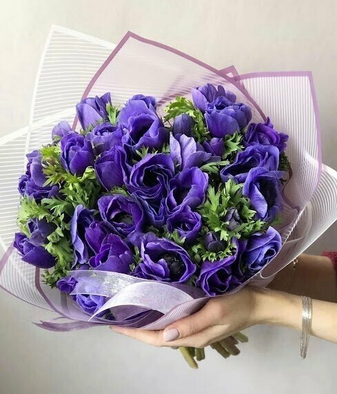 Букет Анемоны фиолетовые красивый букет цветов шикарный премиум цветы.