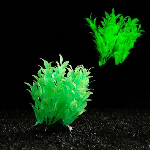 Растение искусственное аквариумное, светящееся, 10 см, зелёное растение искусственное аквариумное 10 см зелёное 5 шт
