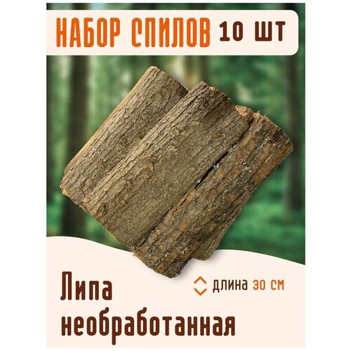 Набор спилов из липы 10 шт