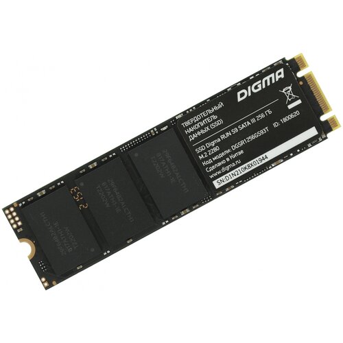 Твердотельный накопитель DIGMA 256 ГБ M.2 DGSR1256GS93T жесткий диск ssd 256gb patriot