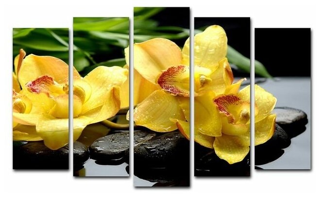Картина модульная на подрамнике "Жёлтые орхидеи" 125*80 см