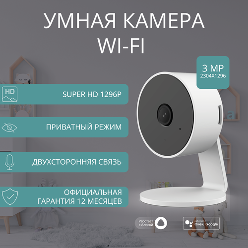 Статичная умная камера видеонаблюдения Roximo RHC106-WL3 с Алисой 2885₽