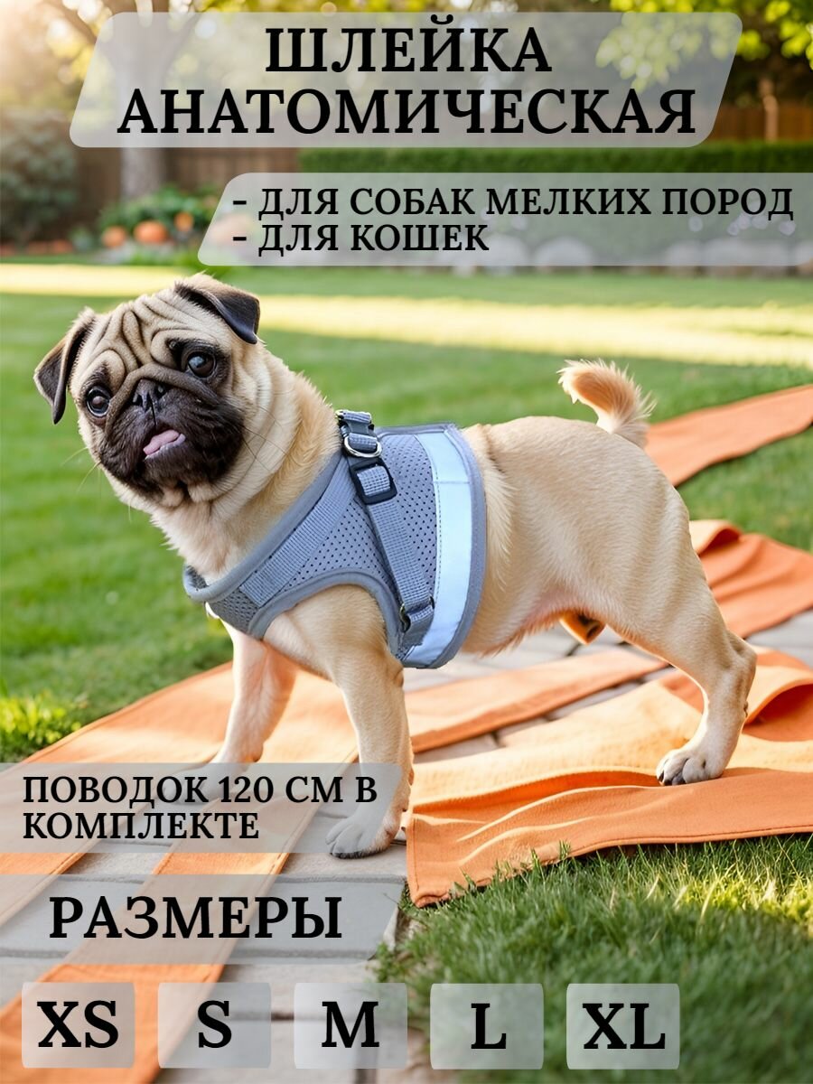 Шлейка для собак мелких пород и кошек с поводком Mirestra, серая, размер L