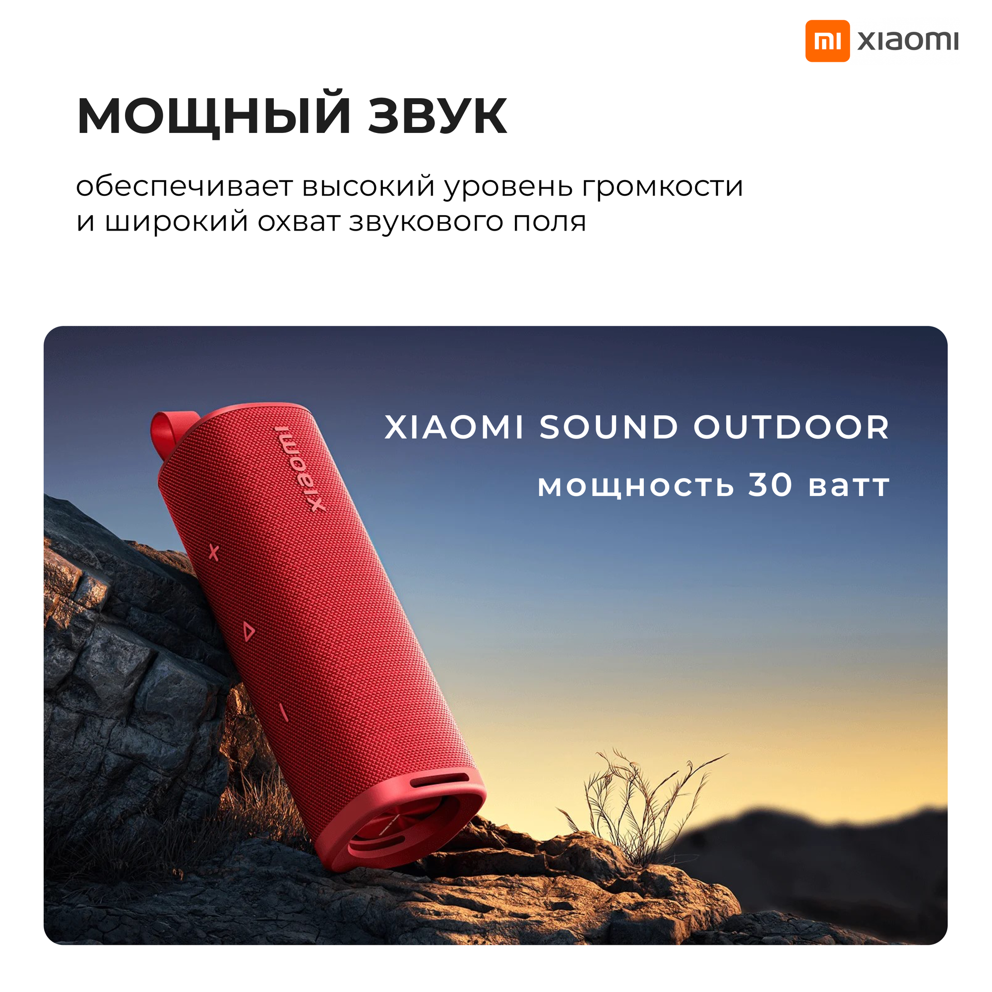 Колонка портативная Xiaomi Sound Outdoor MDZ-38-DB 30W Черная (QBH4261GL) — фото 1