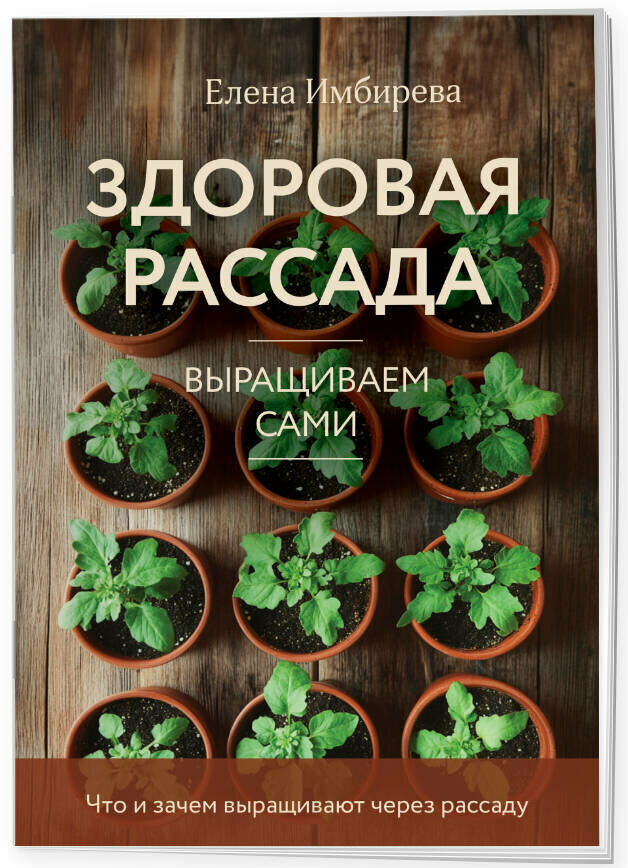 Имбирева Е. В. Здоровая рассада. Выращиваем сами (новое оформление)