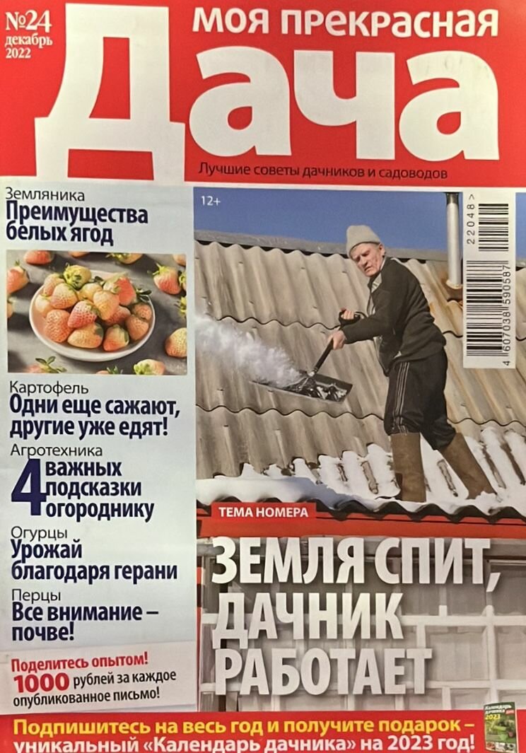 Журнал "Моя прекрасная дача" №24 2022 2022 г.
