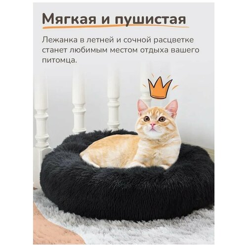 SSPODI / Лежанка для собак и кошек / Лежанка для животных / Лежанка для кошки / Лежанка для собаки
