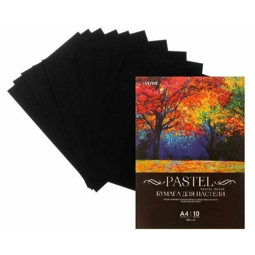 Бумага для пастели deVENTE А4, 10 листов, 160 г/м2, черная, в пакете набор цветной бумаги а4 10 листов 10 цветов перламутровая в пакете devente 8114907 1 шт