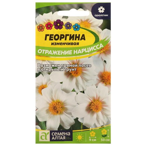 Георгина Отражение Нарцисса 0,2 г (Сем Алт)