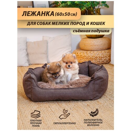 Лежанка Beast. для кошек, для собак мелких и средних пород, лежак для животных, со съёмной подушкой, цвет: темно-коричневый, 60x50 см