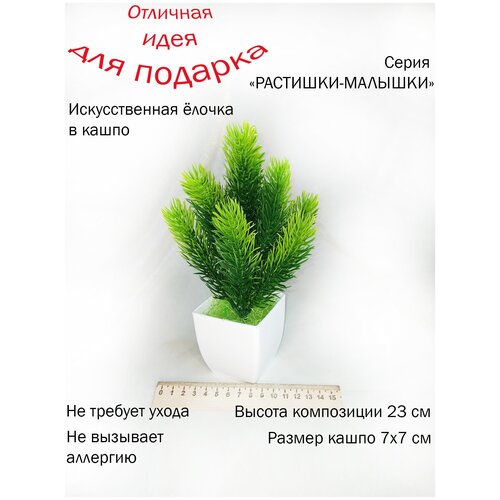 Искусственное растение в кашпо. Декоративное растение в горшке. Подарок женщине, девушке