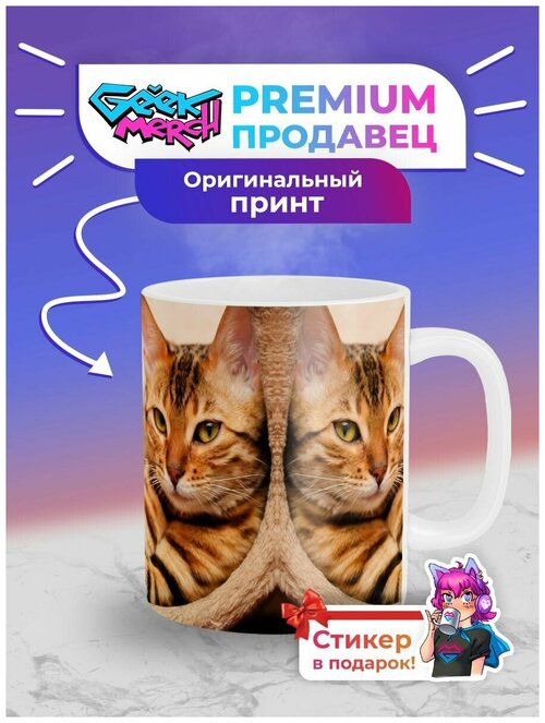 Кружка с Котами Котиками_30