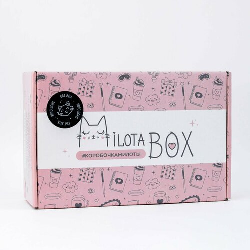 Подарочный набор MilotaBox Cat Box MB094
