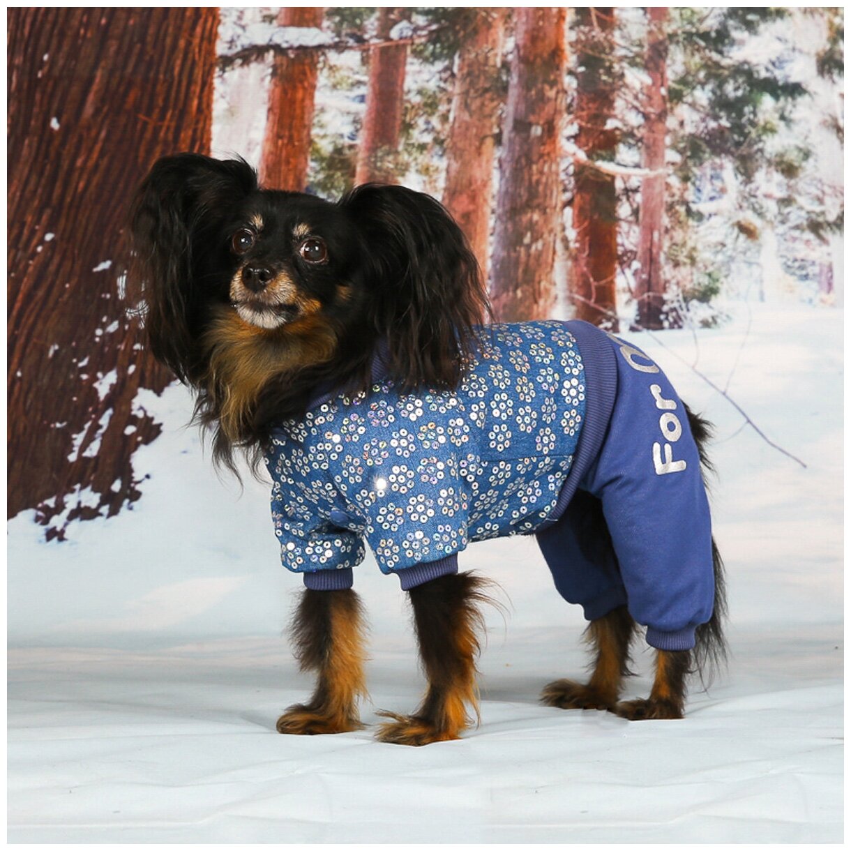 FOR MY DOGS костюм для собак утепленный синий FW910-2020 B (18) - фотография № 8