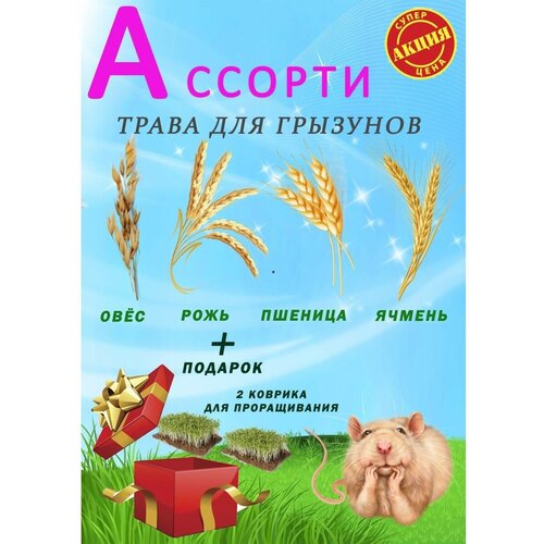 Трава для кошек