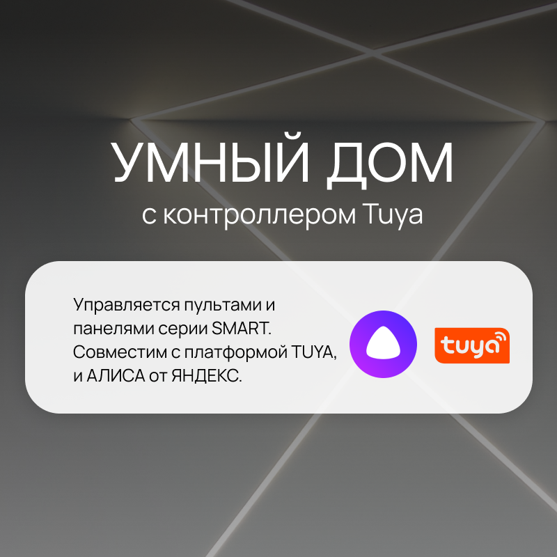 Контроллер Arlight Smart-Tuya-Multi / - фото №4