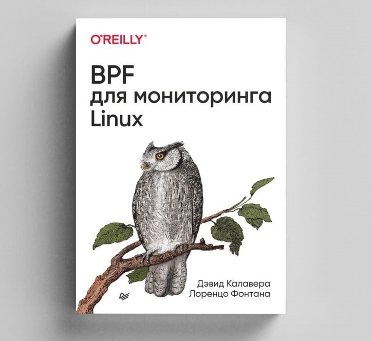 BPF для мониторинга Linux (Калавера Д., Фонтана Л.) - фото №15