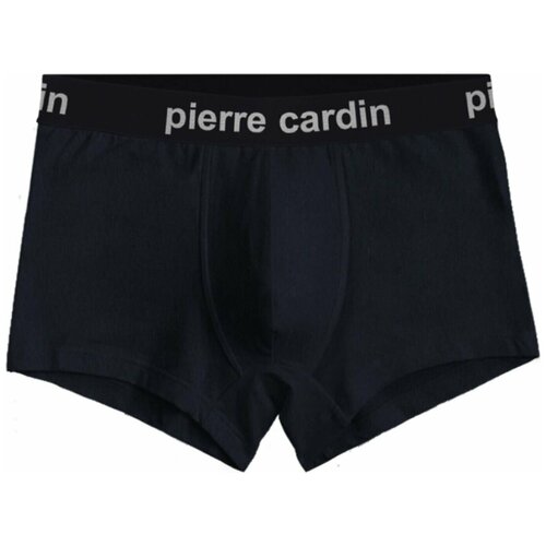 Трусы мужские Pierre Cardin boxer classic PC00003 синие (3XL)