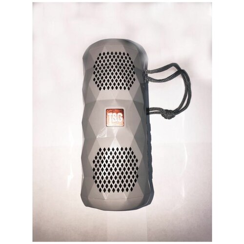 Portable Wireless Speaker Stereo BT TG-167 180000₽