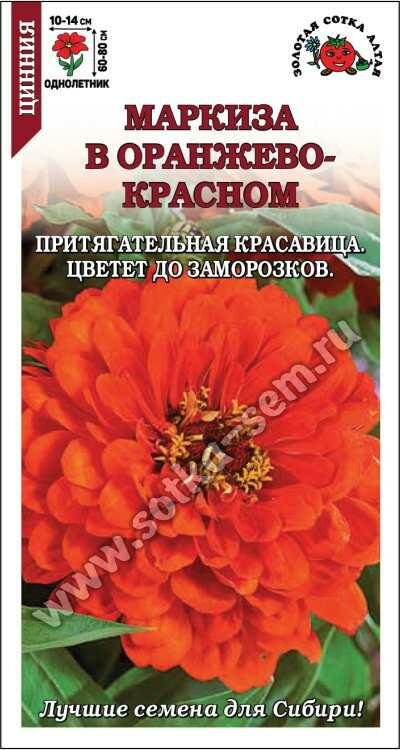 Цинния Маркиза в Оранжево-красном 02г (Золотая сотка Алтая)