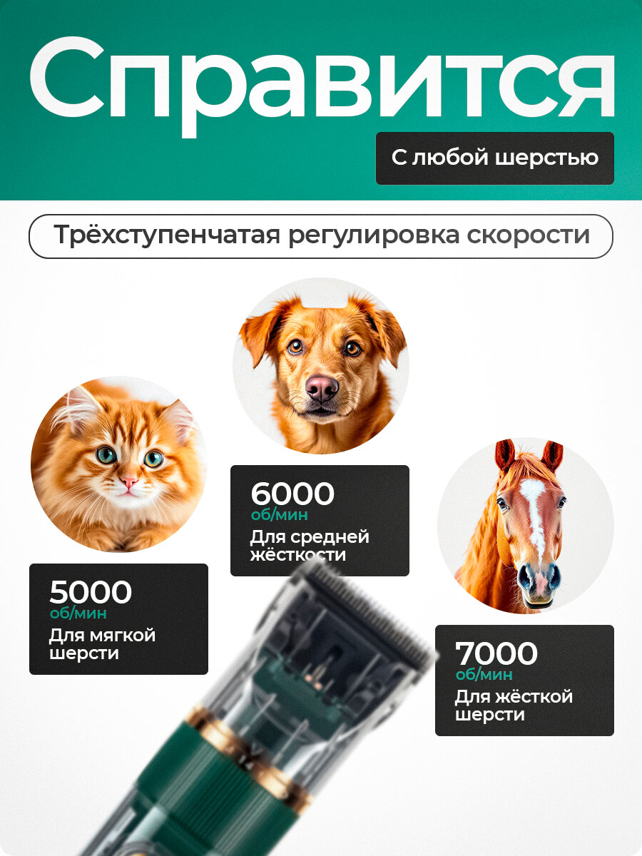 Машинка для стрижки животных, груминг для собак и кошек, триммер — фото 1