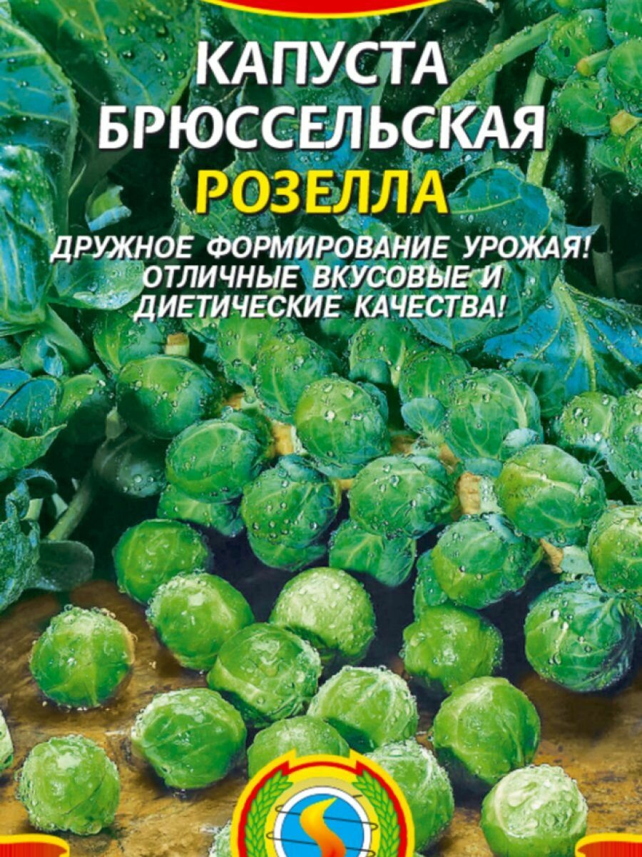 Семена Капуста брюссельская Розелла 03 гр Плазменные семена