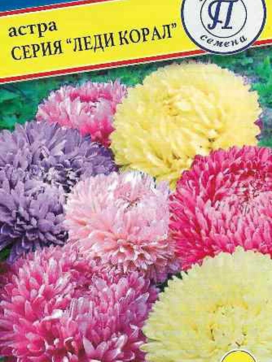 Семена Астра 