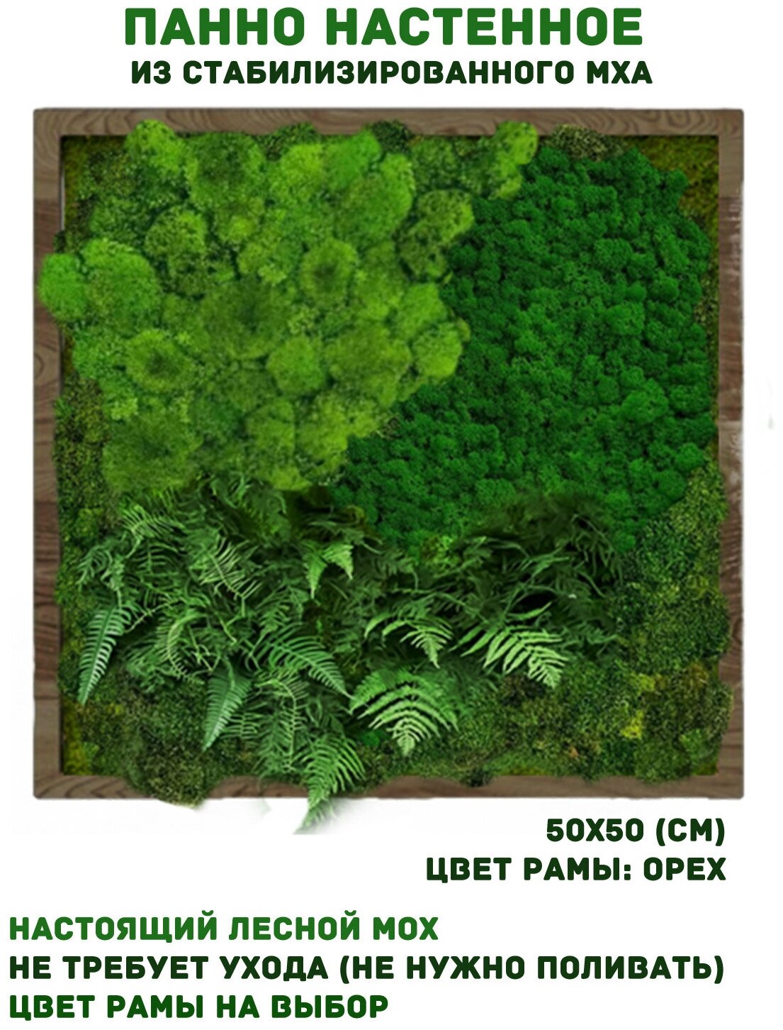 Панно из стабилизированно мха GardenGo в рамке цвета орех, 50х50 см, цвет мха зеленый