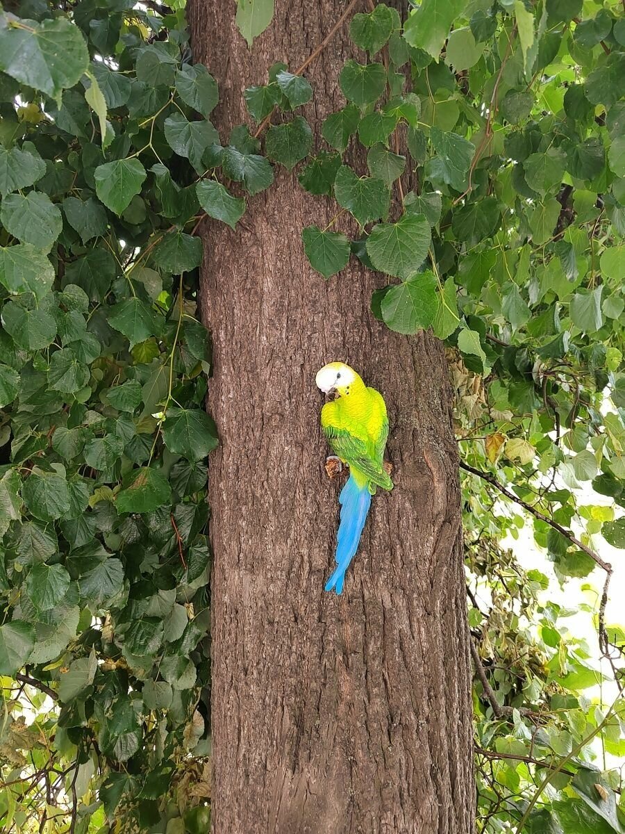 Фигурка садовая, попугай подвесной на дерево, фигура на стену ,декор для дачи, красивый попугай - фотография № 3