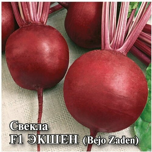 Семена Свекла Экшен F1, 10г, Гавриш, Фермерское подворье, Bejo семена свекла пабло f1 10г гавриш фермерское подворье bejo