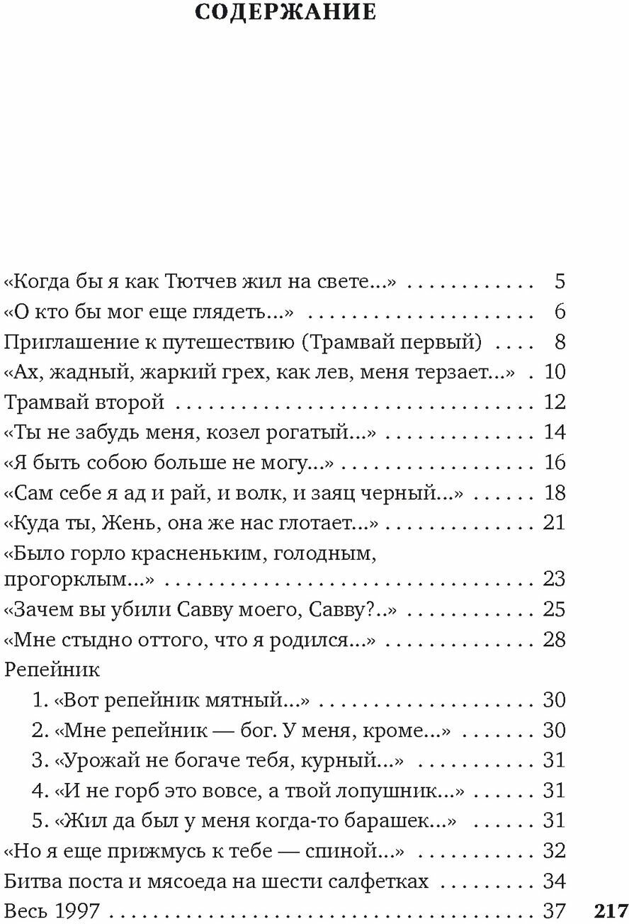 Небесная лиса (Воденников Дмитрий Борисович) - фото №6