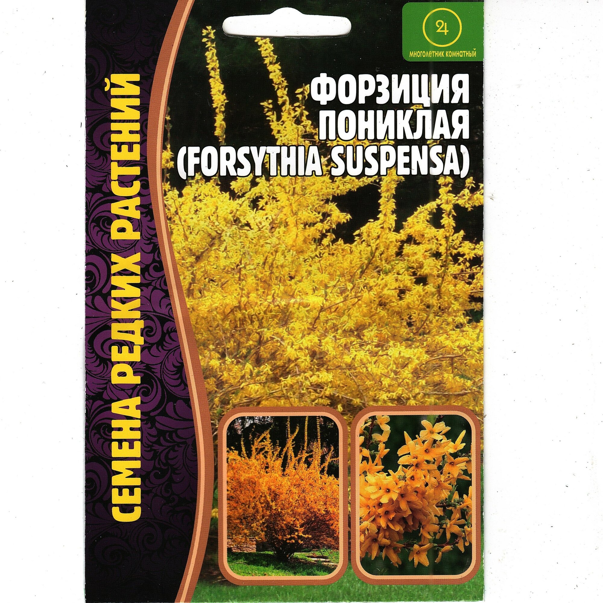 Форзиция пониклая/ Forsythia suspensa, первоцветущий кустарник ( 1 уп: 20 семян )