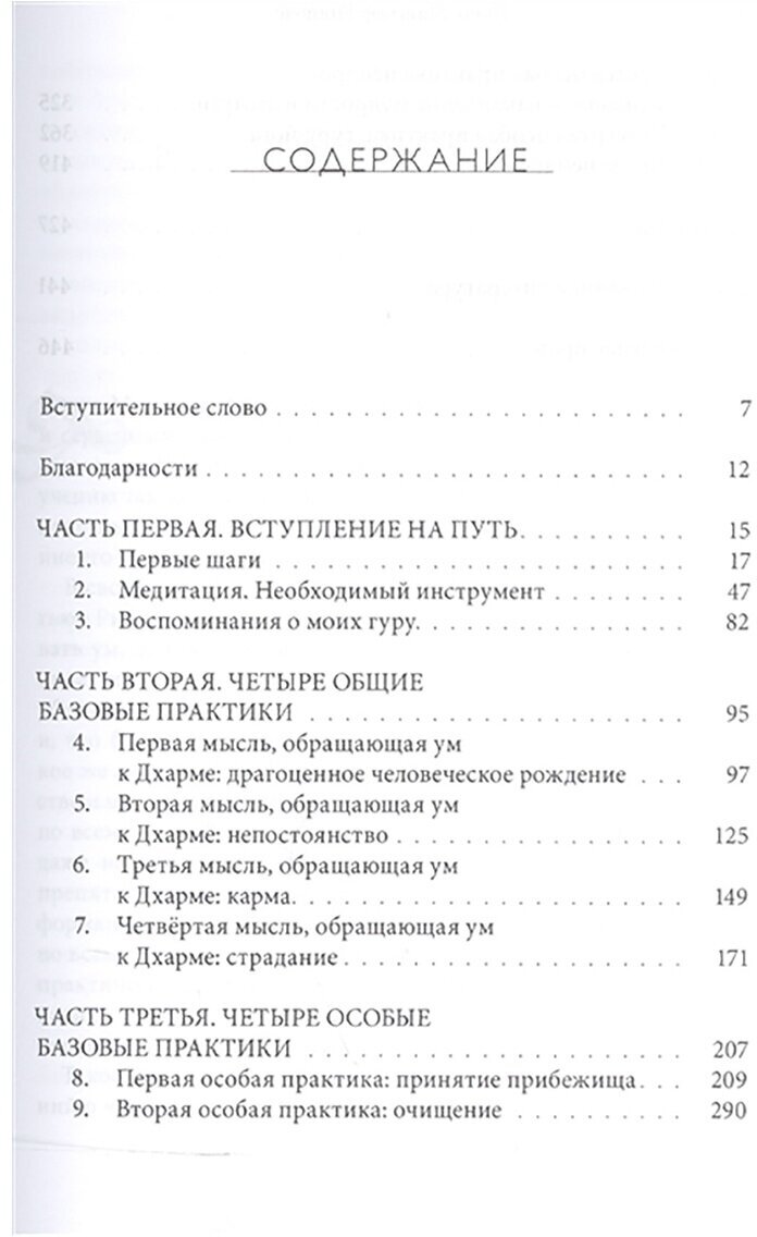 Превращая заблуждение в ясность. Руководство по основополагающим практикам тибетского буддизма - фото №2