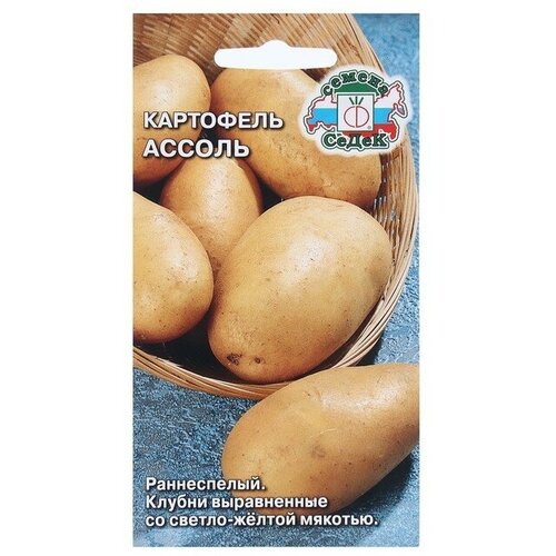 Семена Картофель Ассоль 0.02 г .4 уп картофель батат уп 500 600 г