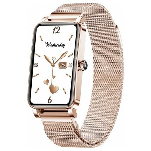 BandRate Smart BRSZX19RGRG 790500₽