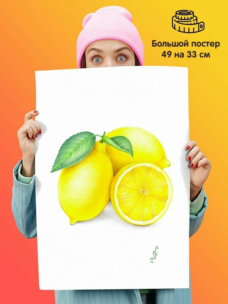 Плакат постер интерьерный "Рисунок Лимоны"