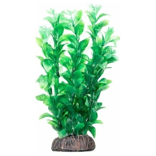 Растение "Людвигия" зеленая, 200мм