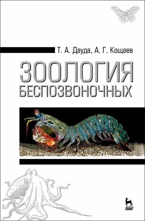 Зоология беспозвоночных. Учебное пособие - фото №6