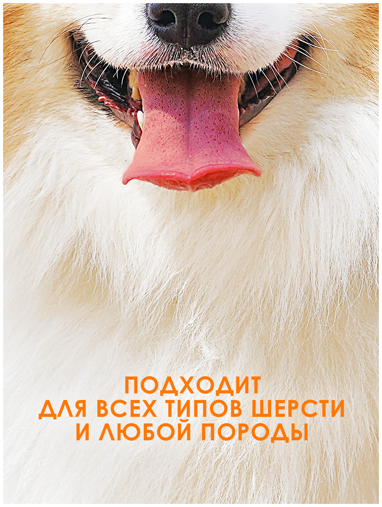Шампунь для собак и кошек / ZOORIK / Зурик / антибактериальный с хлоргексидином 1000 мл - фотография № 4