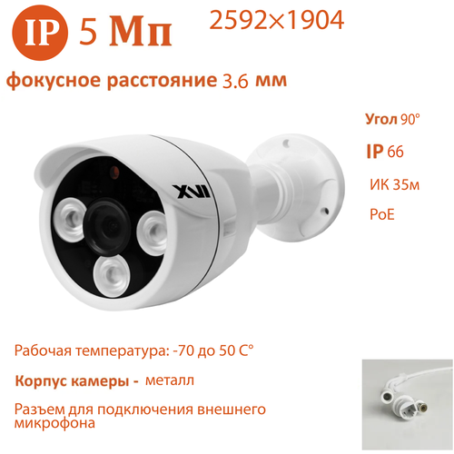 IP камера XVI EI5316CP (3.6мм), 5Мп, PoE, ИК подсветка, видеоаналитика, вход для микрофона