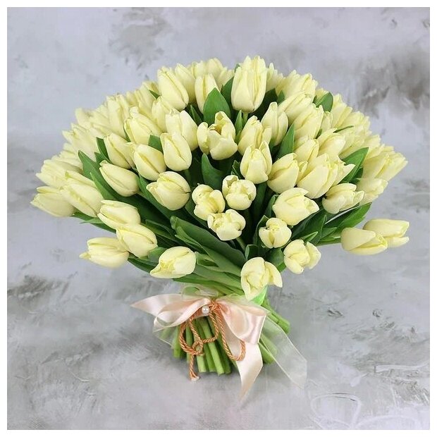 Букет живых цветов из 101 белого тюльпана