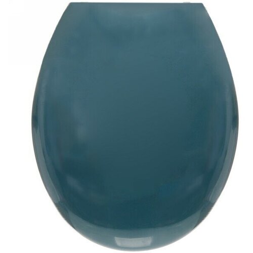 Сиденье для унитаза Лазурь 992₽