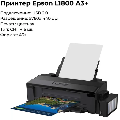 Принтер струйный Epson L1800, цветной, 6 цветов, формат А3+