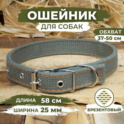 фото Ошейник для собак брезентовый усиленный 2 слоя, обхват 37-50см, длина 58см, ширина 25мм animalix